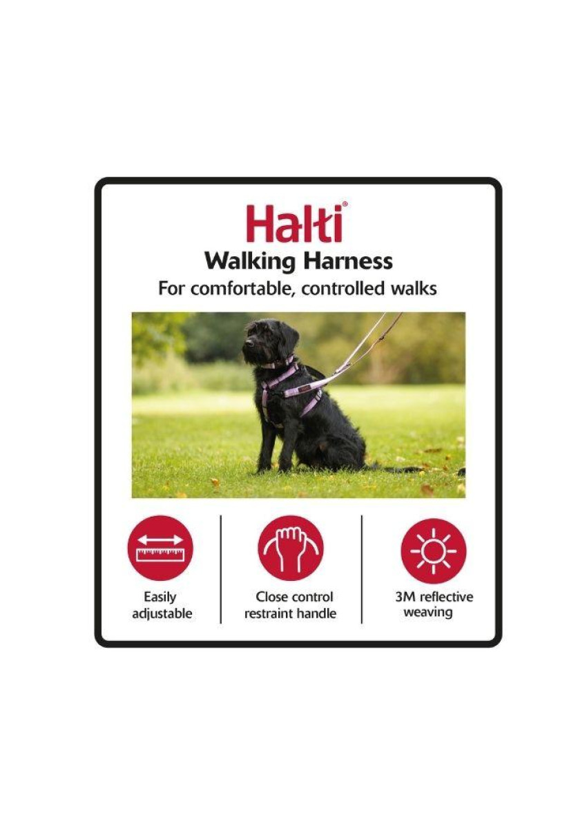 Halti sales walking harness