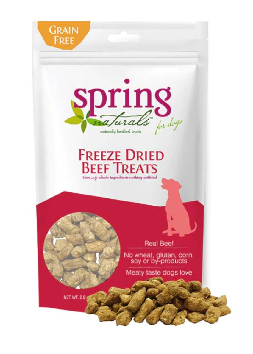 Spring naturals hot sale dog food