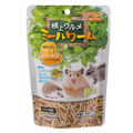 Pet Best Meal worms For Small Animal Treats美味補給凝縮黃粉蟲 30g