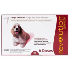  Revolution For Medium Dog 20 - 40lb 中型犬專用配方 (預防跳蚤、心絲蟲、蛔蟲、鉤蟲、耳蟎) 3 支裝