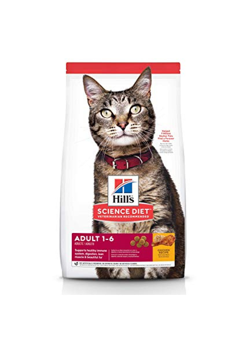 hills kitten 10kg