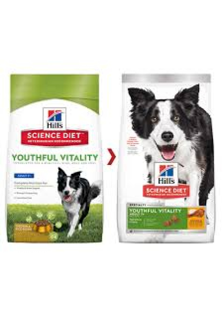 hills youthful vitality dog