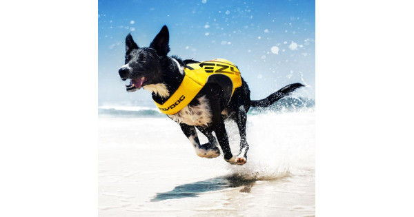 Ezydog life vest best sale