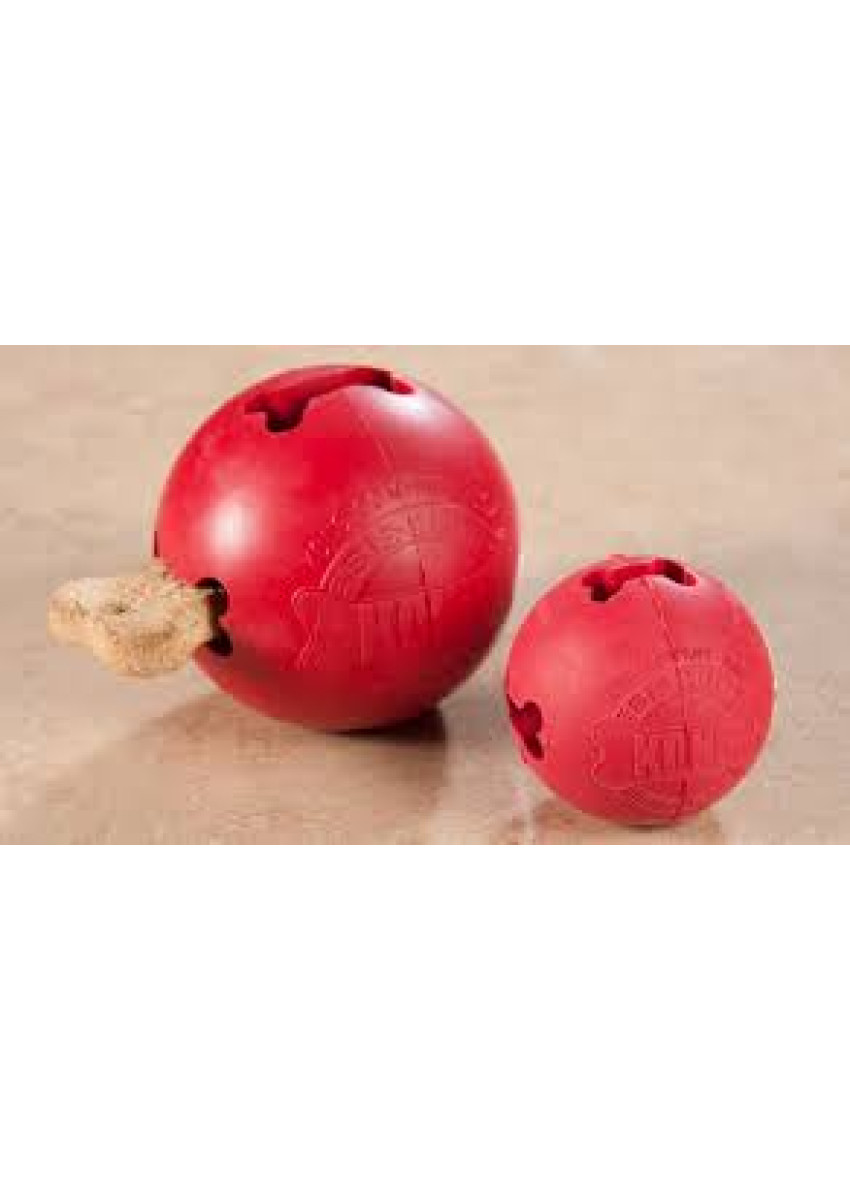 Kong Biscuit Ball Dog Toy